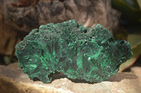 Polished  Chatoyant Silky Malachite Specimens  x 2 From Congo