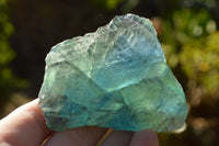 Natural Cobbed & Stone Sealed Watermelon Fluorite Pieces x 12 From Uis, Namibia - TopRock