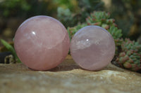 Polished Rare Star Rose Quartz Spheres x 3 From Ambatondrazaka, Madagascar