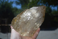 Polished Large Smokey Quartz Crystal Point  x 1 From Madagascar - TopRock