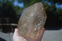 Polished Large Smokey Quartz Crystal Point  x 1 From Madagascar - TopRock