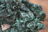 Natural Chatoyant Silky Malachite Specimens  x 3 From Kasompe, Congo