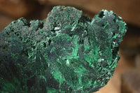 Polished  Chatoyant Silky Malachite Specimens  x 2 From Congo