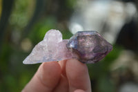 Natural Window Amethyst Crystal Specimens  x 12 From Chiredzi, Zimbabwe