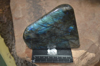 Polished Flashy Labradorite Standing Free Forms  x 2 From Tulear, Madagascar - Toprock Gemstones and Minerals 