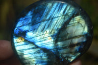 Polished Labradorite Standing Free Forms  x 6 From Tulear, Madagascar