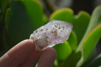 Natural Amethyst Sceptre Crystals  x 12 From Chiredzi, Zimbabwe