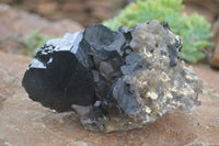 Natural Schorl Black Tourmaline Specimens With Hyalite Opal x 2 From Erongo Mountains, Namibia - TopRock