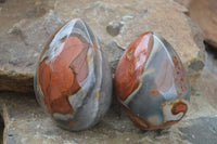 Polished Polychrome Jasper Nodules (Rough Back) x 3 From Madagascar - Toprock Gemstones and Minerals 