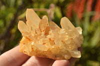 Natural Small Mixed Quartz Clusters With Nice Intact Crystals  x 35 From Madagascar - TopRock