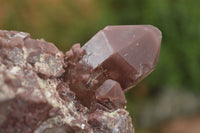 Natural Red Hematoid Quartz Specimens x 3 From Karoi, Zimbabwe - TopRock