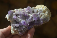 Natural Dark Amethyst Crystal Clusters x 6 From Zambia