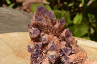 Natural Sugar Amethyst Cluster x 1 From Zambia - TopRock