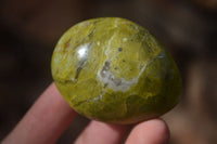 Polished Green Opal Galet / Palm Stones x 12 From Antsirabe Madagascar