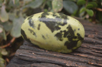 Polished Leopard Stone Free Forms  x 6 From Inyanga, Zimbabwe