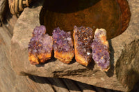 Natural Small Dark "Amethystos" Amethyst Clusters x 35 From Kwaggafontein, South Africa - TopRock