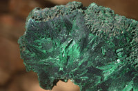 Polished  Chatoyant Silky Malachite Specimens  x 2 From Congo