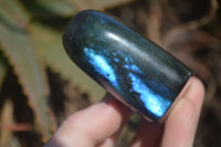 Polished Labradorite Standing Free Forms  x 6 From Tulear, Madagascar