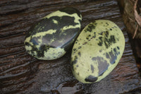 Polished Large Leopard stone Free Forms x 6 From Zimbabwe - Toprock Gemstones and Minerals 