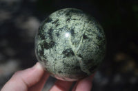 Polished Leopard Stone Spheres (Stone Sealed) x 3 From Zimbabwe - Toprock Gemstones and Minerals 