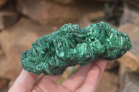 Natural Chatoyant Silky Malachite Specimens  x 3 From Kasompe, Congo