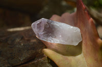 Natural Jacaranda Amethyst Crystals x 70 From Zambia