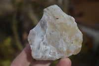 Natural Rough Dendritic White Opal Specimens  x 24 From Namibia