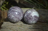 Polished Purple Lepidolite Spheres  x 3 From Madagascar