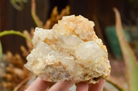 Natural Large Spirit Quartz Clusters  x 2 From Boekenhouthoek, South Africa - TopRock