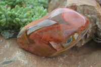 Polished Polychrome Jasper Nodules (Rough Back) x 3 From Madagascar - Toprock Gemstones and Minerals 