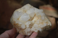 Natural White Phantom Candle Quartz Clusters  x 3 From Madagascar - Toprock Gemstones and Minerals 