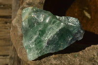 Natural Cobbed & Stone Sealed Watermelon Fluorite Pieces x 12 From Uis, Namibia - TopRock