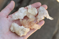 Natural Small Mixed Quartz Clusters (Mostly Intact and Semi Optic) x 35 From Mandrosonoro, Madagascar - TopRock