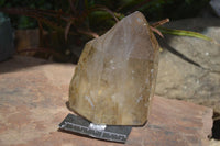 Polished Large Smokey Quartz Crystal Point  x 1 From Madagascar - TopRock