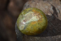 Polished Green Opal Galet / Palm Stones x 12 From Antsirabe Madagascar