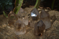 Polished  Wispy Phantom Smokey Quartz Points  x 6 From Madagascar