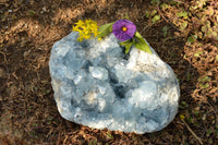 Natural Blue Celestite With Nice Cubic Crystals  x 1 From Sakoany, Madagascar - TopRock