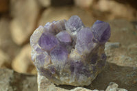 Natural Dark Amethyst Crystal Clusters x 6 From Zambia