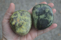 Polished Leopard Stone Gallets  x 6 From Zimbabwe - Toprock Gemstones and Minerals 