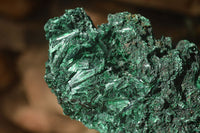 Polished  Chatoyant Silky Malachite Specimens  x 2 From Congo