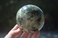 Polished Leopard Stone Spheres (Stone Sealed) x 3 From Zimbabwe - Toprock Gemstones and Minerals 