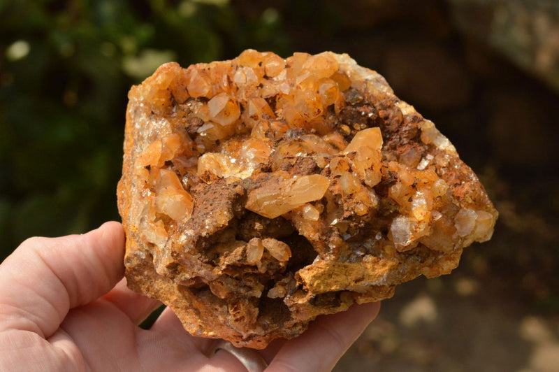 Natural Golden Limonite / Lemonite Quartz Clusters x 3 From