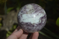 Polished Purple Lepidolite Spheres  x 3 From Madagascar