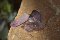 Natural Mini Window Amethyst Crystals  x 70 From Chiredzi, Zimbabwe - Toprock Gemstones and Minerals 