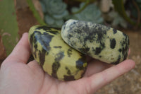 Polished Leopard Stone Free Forms  x 6 From Inyanga, Zimbabwe