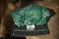 Natural Botryoidal Silky Malachite Specimens  x 5 From Congo