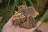 Natural Rough Nguni Jasper Cobbed Specimens  x 25 From Northern Cape, South Africa