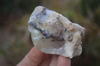 Natural Rough Dendritic White Opal Specimens  x 24 From Namibia