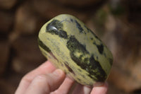 Polished Leopard Stone Free Forms  x 6 From Inyanga, Zimbabwe