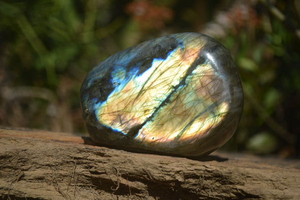 Polished Labradorite Standing Free Forms  x 6 From Tulear, Madagascar